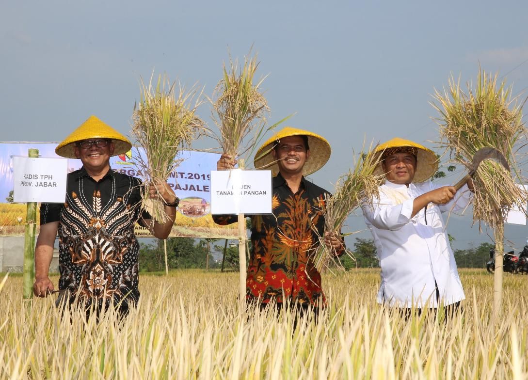 Kementan Dukung Jawa Barat Penghasil Beras Organik Terbesar Di Indonesia