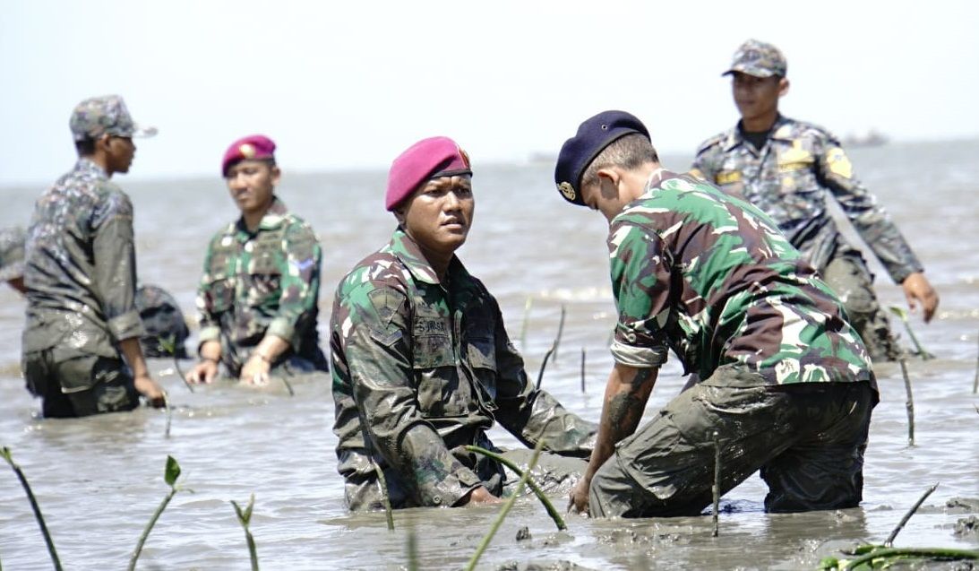Unsur TNI di Makassar Tanam 8000 Bibit Pohon Mangrove