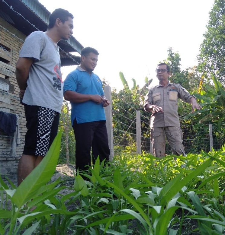 Pulang Kerja, Kasubag Protokol Lutra Jadi Petani Sayuran
