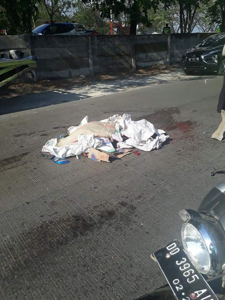 Wanita Paruh Baya Tewas Kecelakaan di Pinggir Tol Reformasi