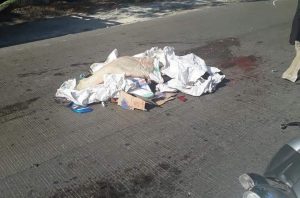 Wanita Paruh Baya Tewas Kecelakaan di Pinggir Tol Reformasi Wanita Paruh Baya Tewas Kecelakaan di Pinggir Tol Reformasi