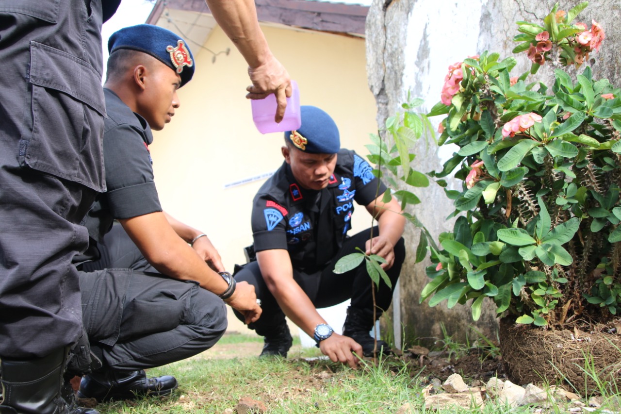 Batalyon C Pelopor Galakkan Program Kapoli Peduli Penghijauan