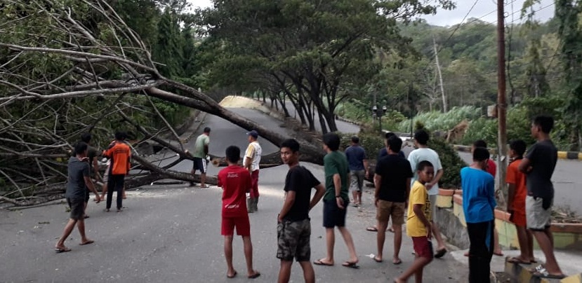 Hujan Deras Disertai Angin, Pohon Tumbang di Beberapa Titik