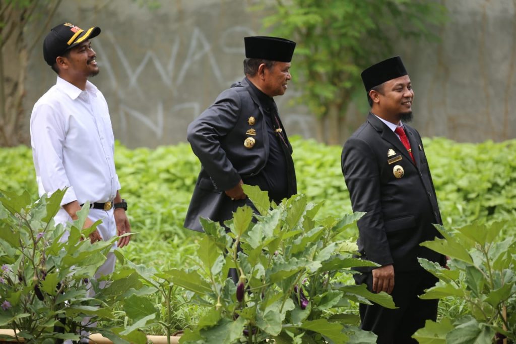 Setahun, Luwu Dapat Kurangi Rp1,6 Triliun Lebih Belanja Sayur IRT