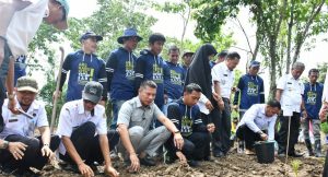 Pejabat Kementan RI Tinjau Kebun Porang di Bendoro Sidrap
