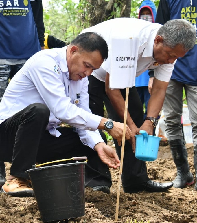 Direktur Akabi Kementan RI Amiruddin Tanam Perdana Porang Bendoro Sidrap