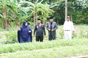 bf2abdc7-d08c-43d8-b81a-597094e515fa Setahun, Luwu Dapat Kurangi Rp1,6 Triliun Lebih Belanja Sayur IRT