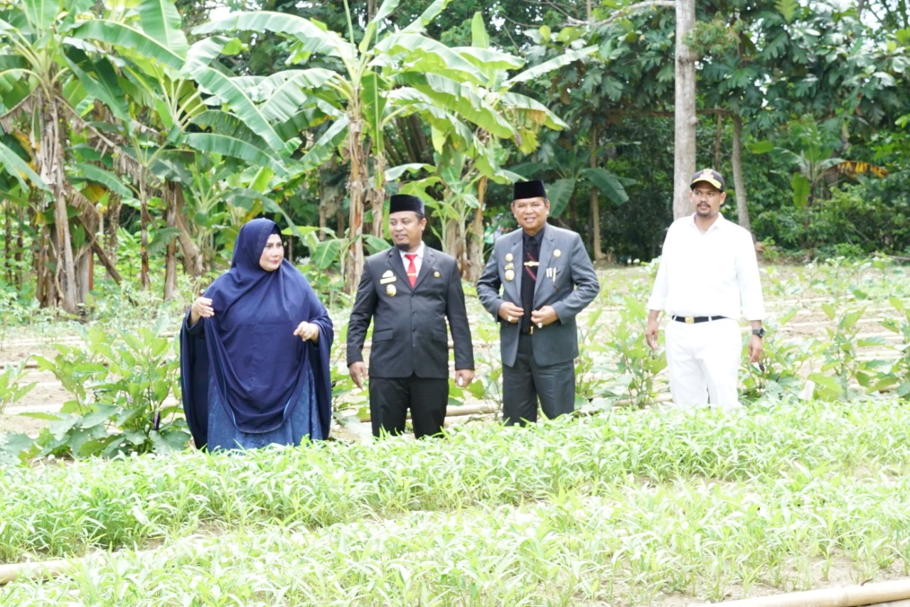 Setahun, Luwu Dapat Kurangi Rp1,6 Triliun Lebih Belanja Sayur IRT