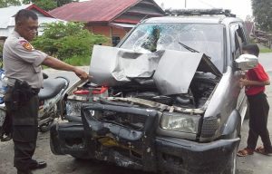 Motor Tabrakan Panher, Dua Warga Pongo Meninggal