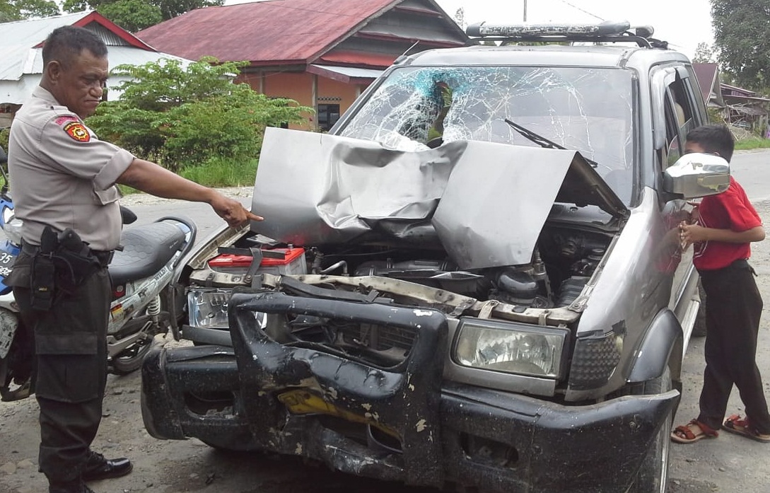Motor Tabrakan Panher, Dua Warga Pongo Meninggal