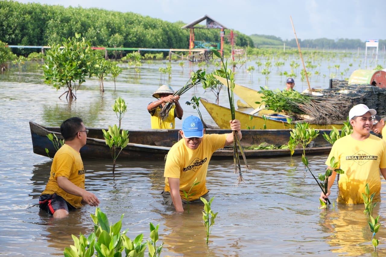 PT Jasaraharja Serahkan 1000 Bibit Mangrove