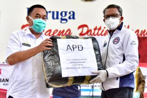 WhatsApp Image 2020-04-08 at 22.44.03 Kadis Pertanian Serahkan 250 Paket Sembako dan 150 APD ke Pemprov Sulsel