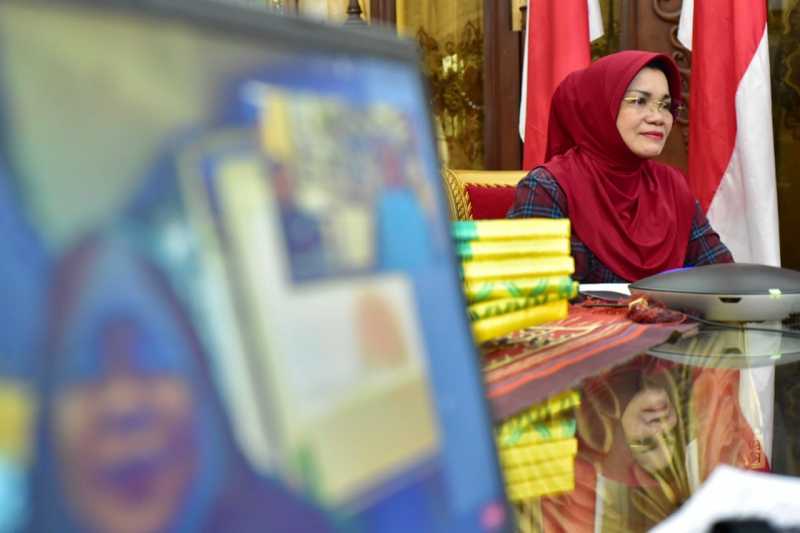 Lies Nurdin - Puspita Milenia Takalar Temu Wicara Virtual Bahas Peran Keluarga Cegah Penularan Covid-19