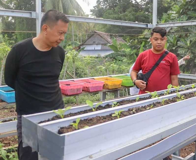 Bupati Basli Ali Tinjau Kebun dan Demplot Kawasan Rumah Pangan Lestari