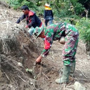 Babinsa Koramil 1419-02 /Enrekang Bantu Warga Tanam Jagung