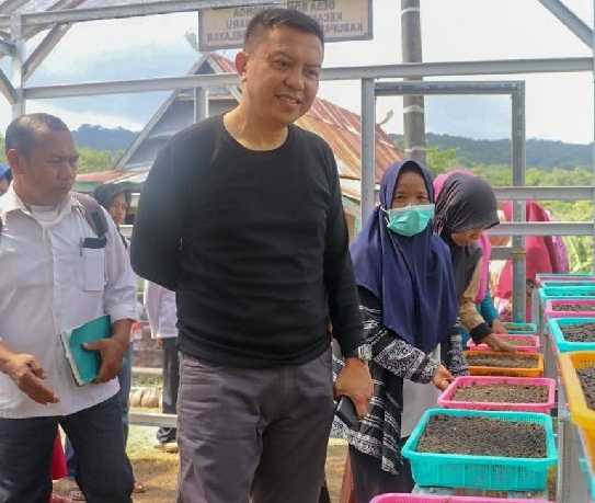Lagi, Bupati Kepulauan Selayar Tinjau Kebun Bibit P2L
