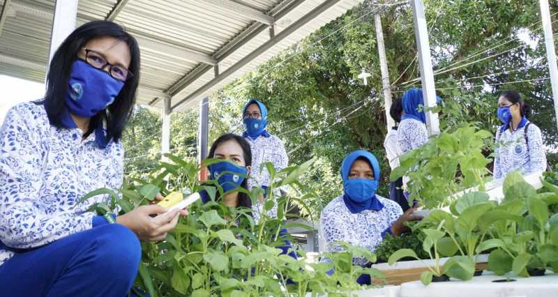 Ketua Korcab VI DJA II Panen di Kebun KompleksTNI AL
