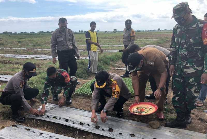 Kapolres Takalar AKBP Budi Wahyono Tanam 5000 Bibit Melon