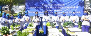 23.6 foto lanta lele Ketua Korcab VI DJA II Tebar Bibit Lele dan Tanam Hidroponik