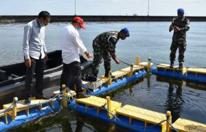 26.6 foto lanta ikan Danlantamal VI Coffe Morning Kadis DKP Sulsel, Bahas Ketahanan Pangan Perikanan
