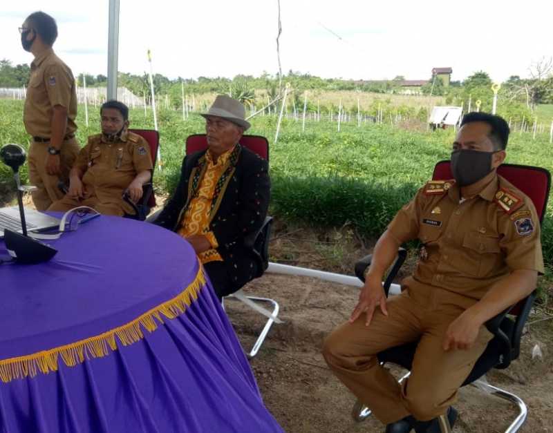 Cegah Sunting, 1155 Mahasiswa Poltekkes PKL Terpadu Daring di Enrekang