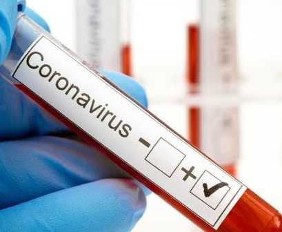 Bertambah Satu, Total Kasus Positif Covid 19 di Pinrang 13