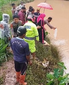 Kapolres EnrekangTebar Ratusan Bibit Ikan Mas di Kolam Warga
