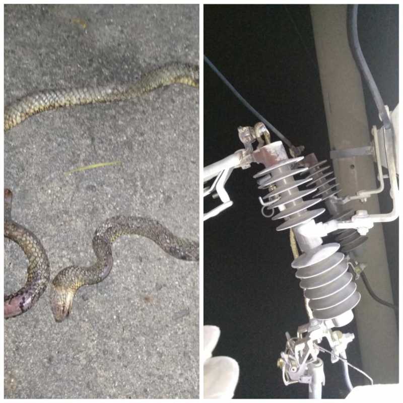 Gara-Gara Ular, Sebagian Wilayah di Kecamatan Banggae Timur Gelap Gulita