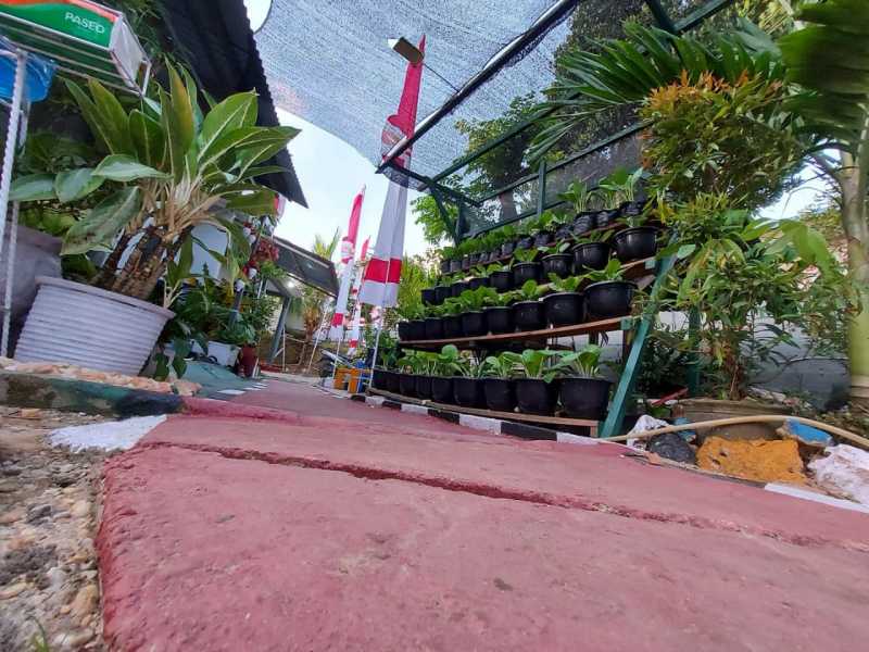 Sentuhan Seni Warga Kompleks TNI AL Lanal Kendari Percantik Lingkungannya Jelang Selesainya Bulan Karya Bakti