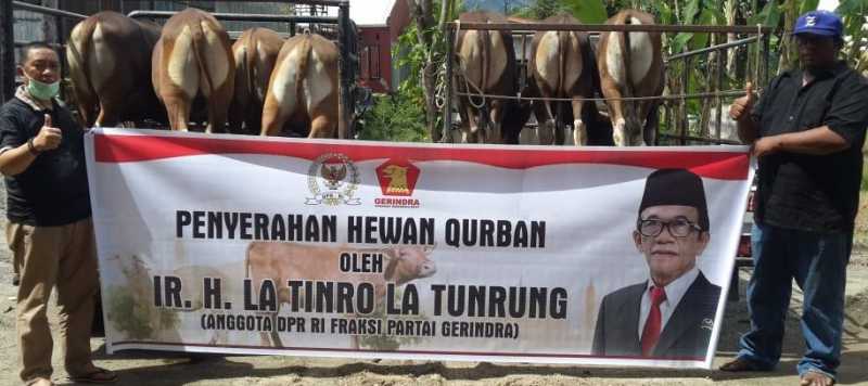 La Tinro La Tunrung Serahkan 10 Ekor Sapi Qurban Untuk Warga Enrekang