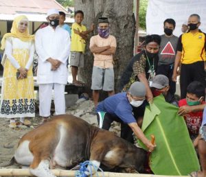 Polres Majene Qurban Sapi Empat Ekor