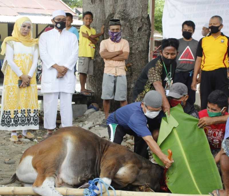 Polres Majene Qurban Sapi Empat Ekor