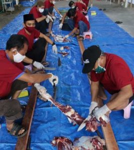 Idul Adha 2020 di Sulawesi, Pertamina Bagikan Hewan Kurban