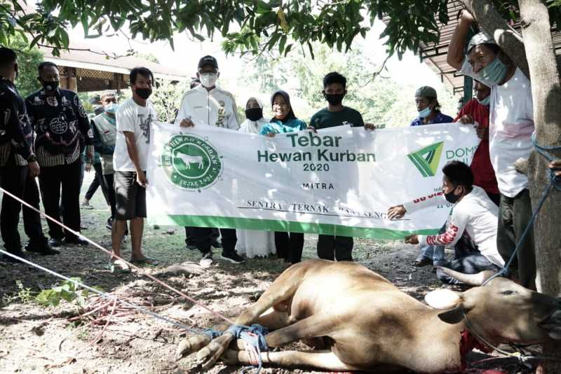 Total 150 ekor sapi Tebar Hewan Kurban (THK) Dompet Duhuafa untuk Bantaeng