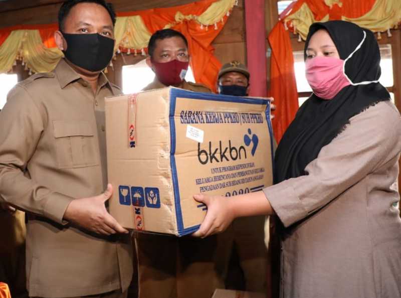 Bupati Bantaeng Dorong Ketahanan Keluarga Melalui Penyuluh KB