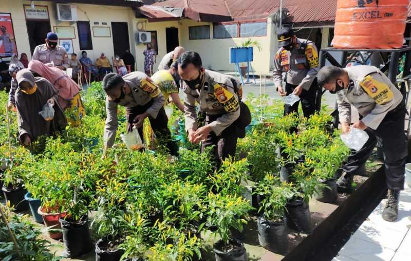 Pandemi Covid-19, Polsek Ujung Tanah Panen Perdana Cabai dan Tomat