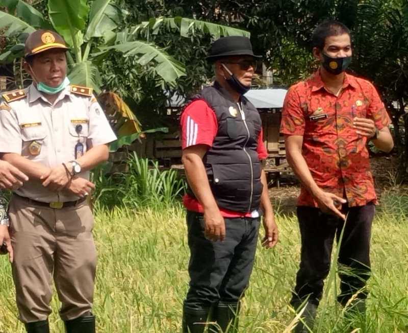 Peringatan Hari Tani Nasional, Ini Harapan Bupati Enrekang
