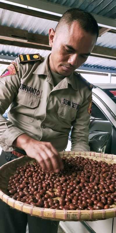 Ipda Purwanto, Perwira SIP Angk. 49 Sat Brimob Polda Sulsel, Temukan Kopi Varian Baru