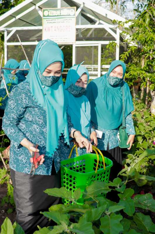 Ketua TP PKK Selayar Lakukan Silaturahmi Dengan Kelompok Wanita Tani 