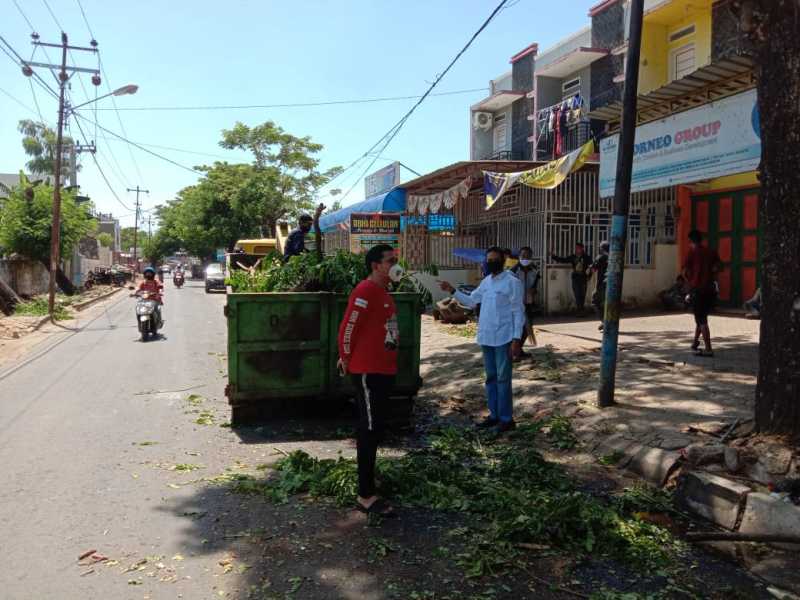 Januari-September, DLH Gowa Pangkas dan Tebang 508 Pohon, Ini Tujuannya
