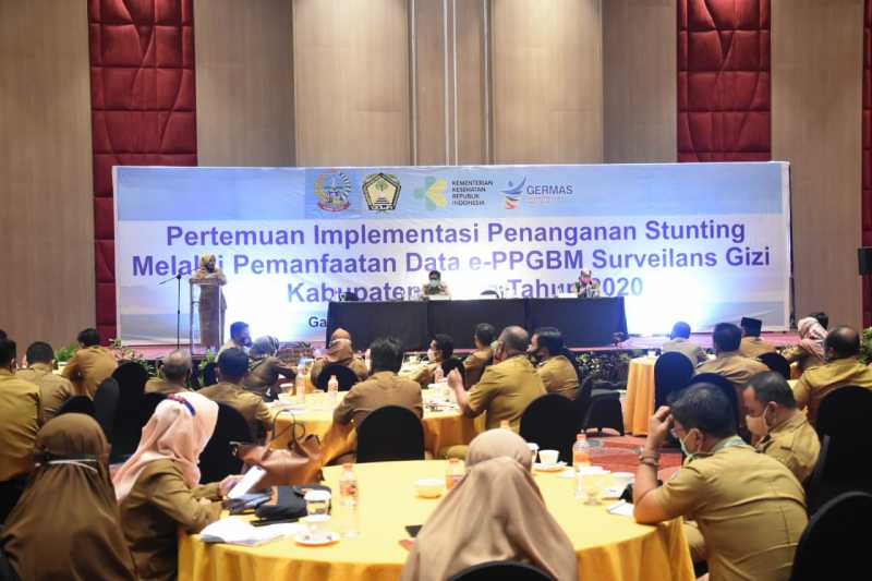 Dinkes Gowa Sosialisasi Pemanfaatan Data e- PPGBM 