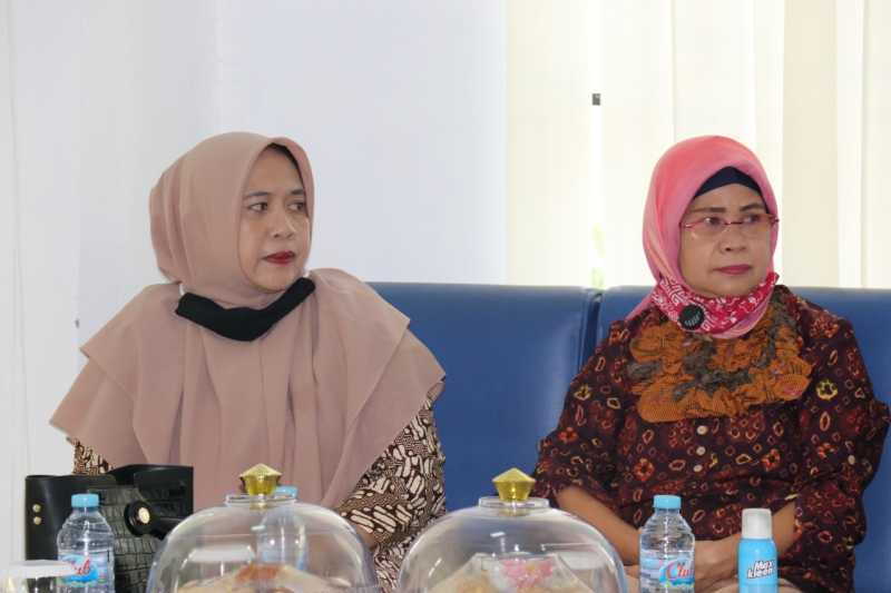 Tingkatkan Investasi, DPMPTSP Gelar Sosialisasi dan Bimtek Pengisian LKPM Secara Online