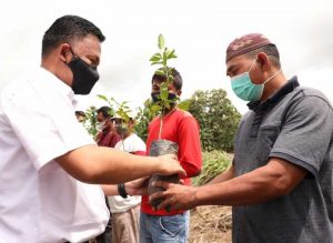 6.1 foto banta jeruk Pemkab Bantaeng Bertekad Jadikan Kaloling Sentra Produksi Jeruk