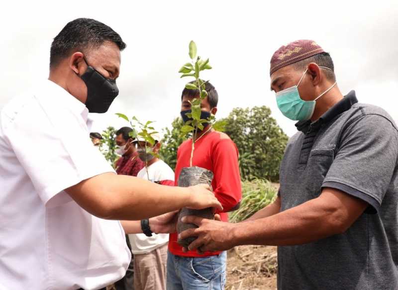 Pemkab Bantaeng Bertekad Jadikan Kaloling Sentra Produksi Jeruk