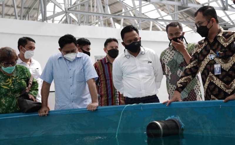 Bantaeng Jajaki Kerjasama BPBL Ambon, Tingkatkan Pendapatan Nelayan