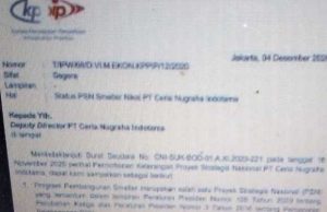 Pembangunan Smelter CNI Masuk PSN