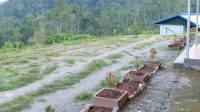 26.5 foto tambang aking Tambang Emas di Luwu Diharap Bisa Segera Beroperasi