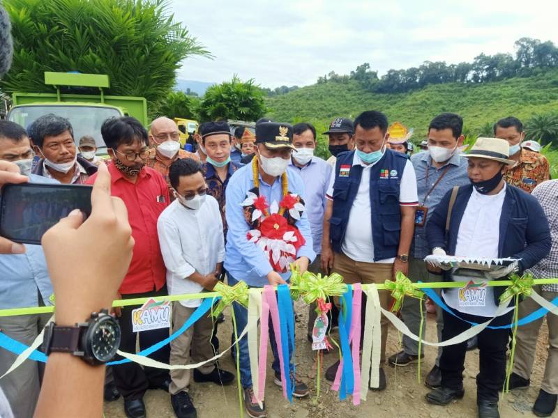 Bupati Lutim Salurkan Bibit untuk Peremajaan Sawit Rakyat