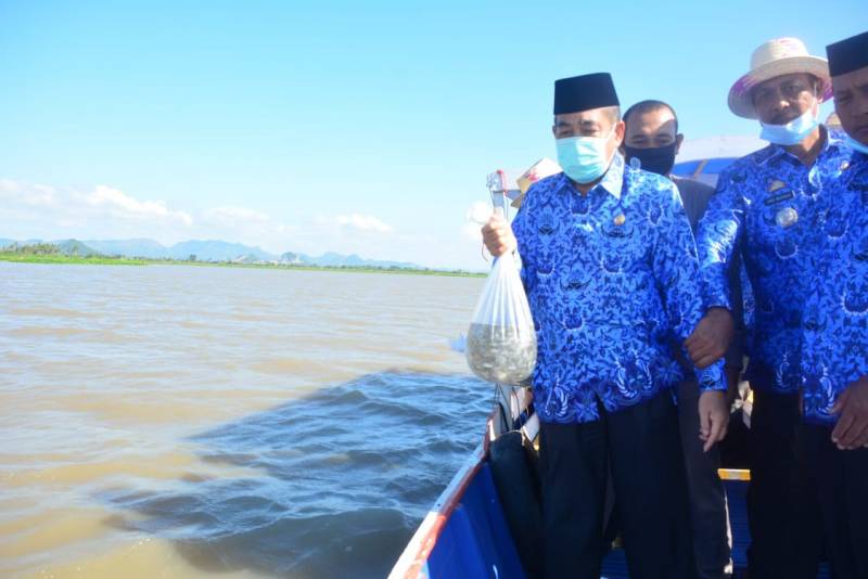 Tingkatkan Kesejahteraan Nelayan, Bupati Sidrap Tebar 80  Ribu Benih Ikan di Danau Sidenreng