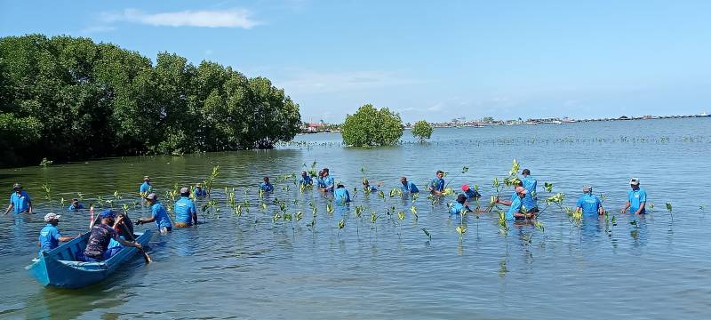 Polres Pangkep Tanam 2000 Mangrove di Kampung Pesisir Nelayan